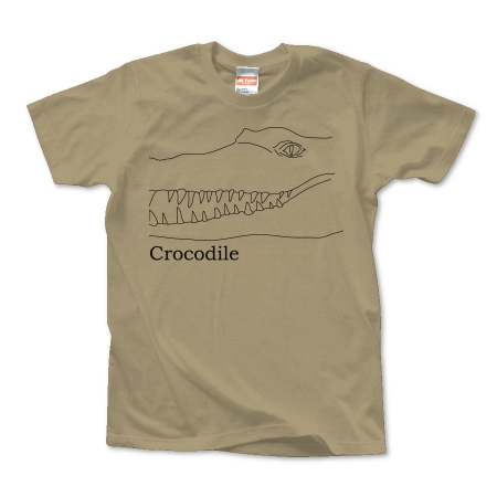 Crocodile 01