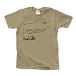 Crocodile 01