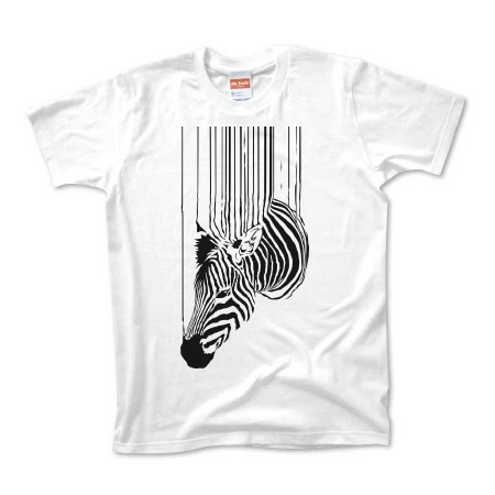 zebra.