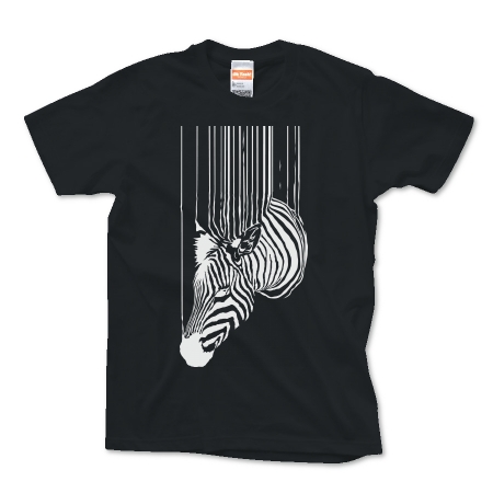 zebra.