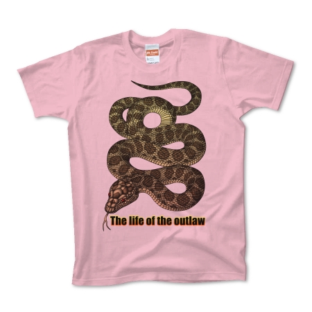 snake3