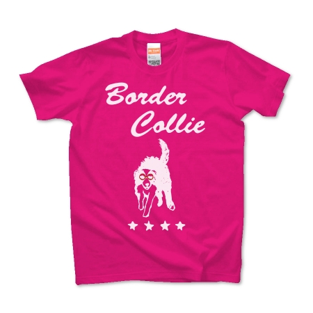 Border Collie