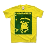 Chimpanzee face 01