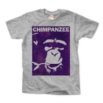 Chimpanzee face 02