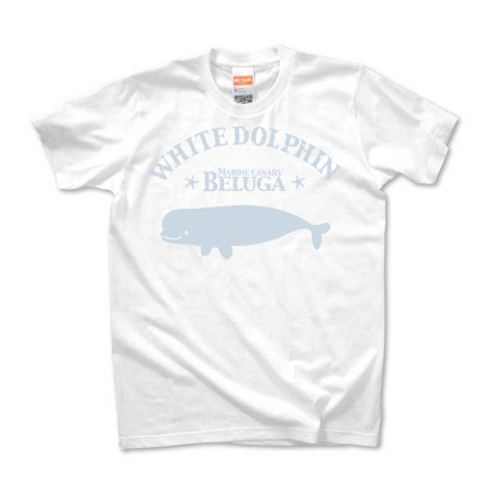 Beluga-white dolphin-