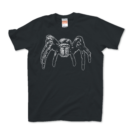 Tarantula