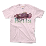 Betta