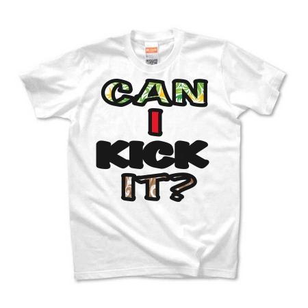 CAN I KICK IT?