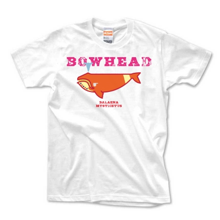 BOWHEAD