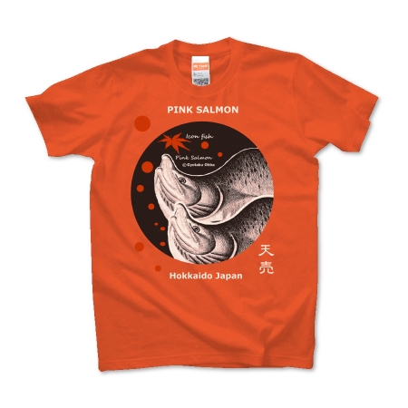 カラフトマス！【PINK SALMON】天売