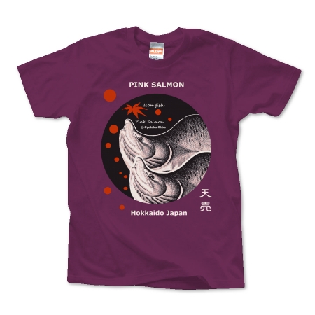 カラフトマス！【PINK SALMON】天売