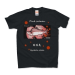 カラフトマス！国後島【PINK SALMON】