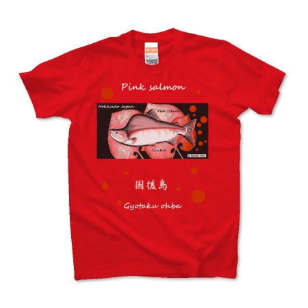 カラフトマス！国後島【PINK SALMON】