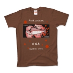 カラフトマス！国後島【PINK SALMON】