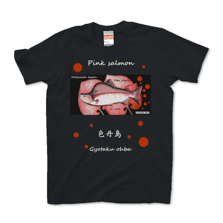 カラフトマス！色丹島【PINK SALMON】