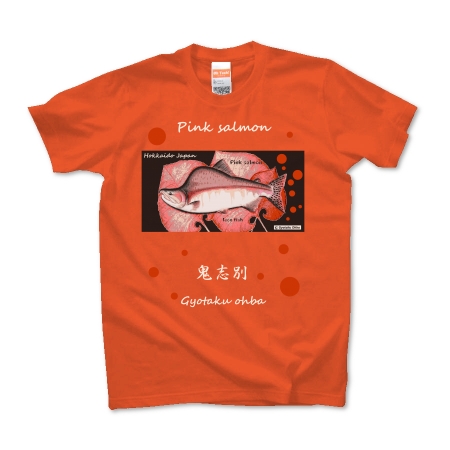 カラフトマス！鬼志別【PINK SALMON】