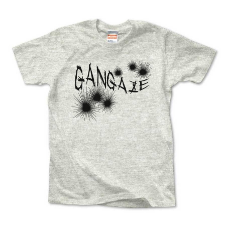 GANGAZE_K