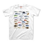 Saltwater fish_2