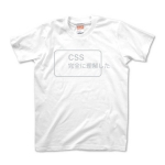 CSS完全に理解した 銀色ロゴ
