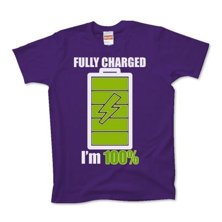 FULLY_CHARGED_BATTERY