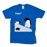 Ade 0565 おかしなアデリーペンギン