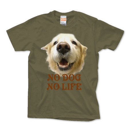 NO DOG NO LIFE