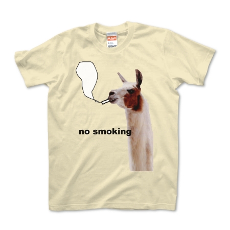 no smoking