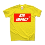 BIGiMPACT