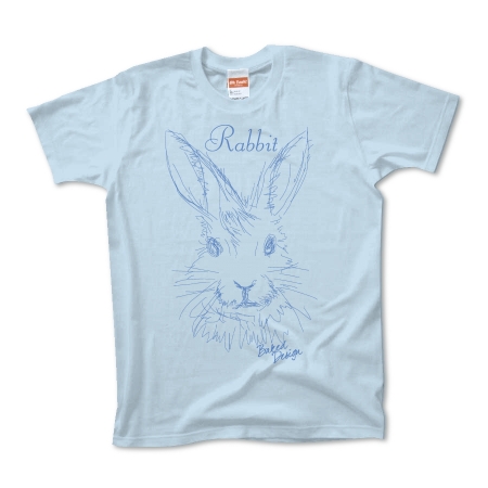 rabbit 02