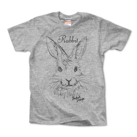 rabbit 01