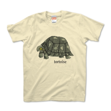 tortoise