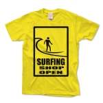 SURFING