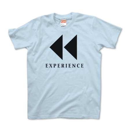 EXPERIENCE