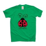 ladybug 01